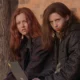 Ginger Snaps